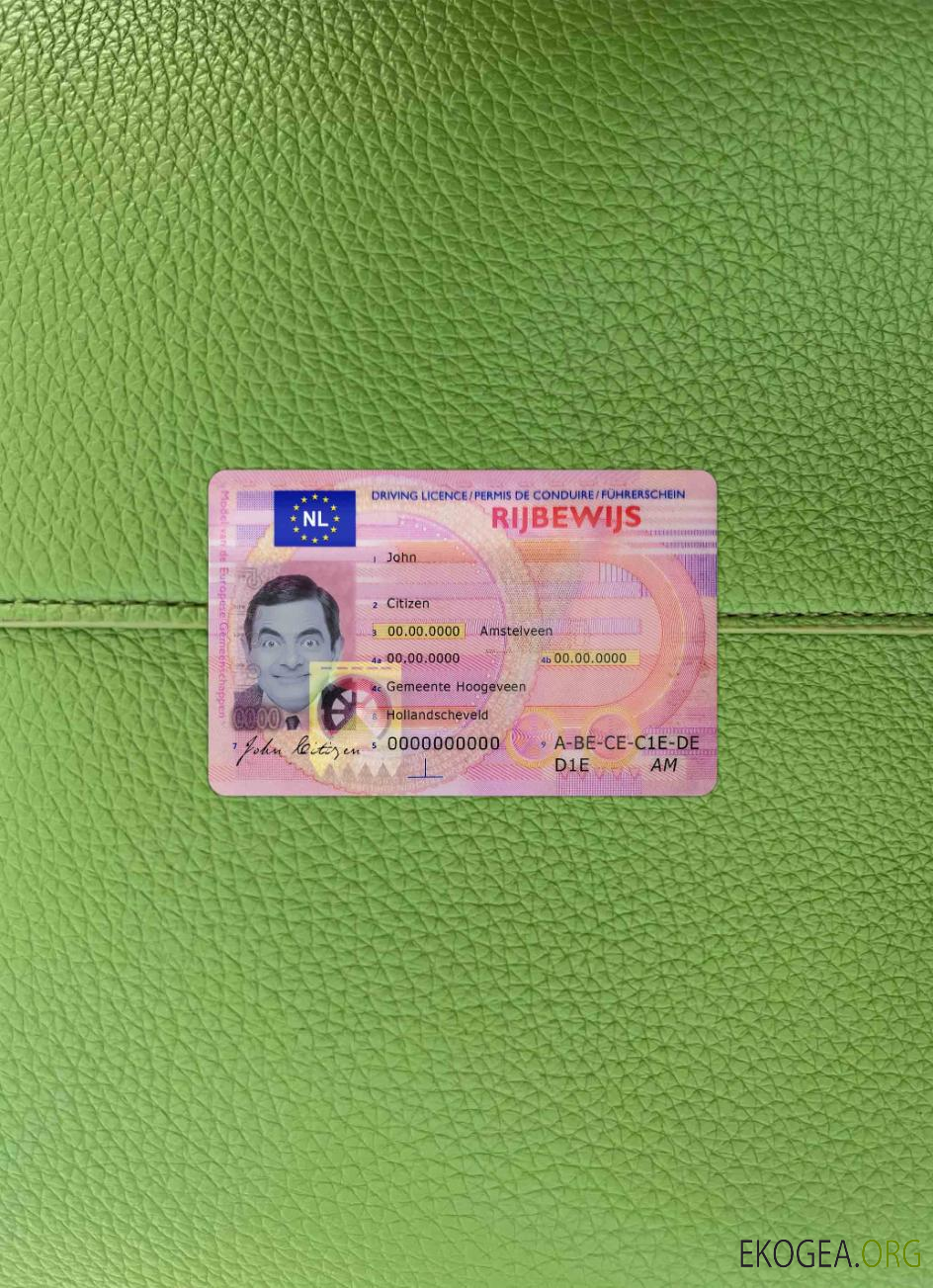 Photolook du permis de conduire néerlandais AVANT